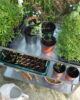 Stainless steel greenhouse staging