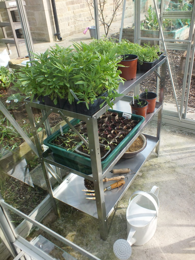 Garden Shelving / Greenhouse Staging Stainless Hub