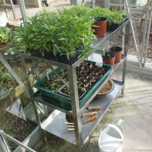 Greenhouse Staging in Stainless Steel
