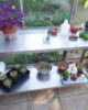 Garden Shelving / Greenhouse Staging - Image 6